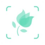 形色拍照识别花和植物app
